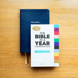 The Bible in a Year Companion (Fr Mike Schmitz)