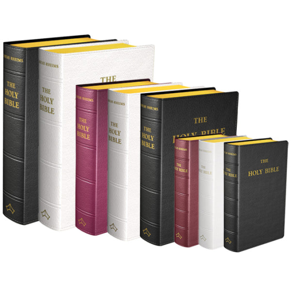 Holy Bible Douay-Rheims (Baronius Press) – The Cenacle Press at
