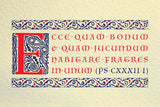 Ecce Quam Bonum Greeting Card