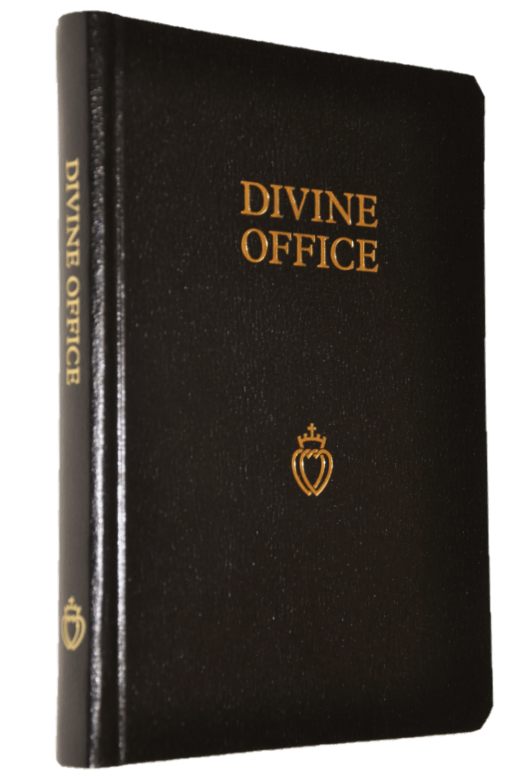 book sspx divine office