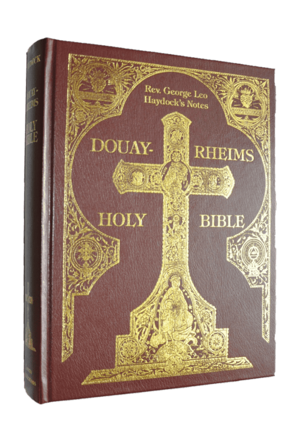 Book Loreto Publications Haydock Douay-Rheims Bible