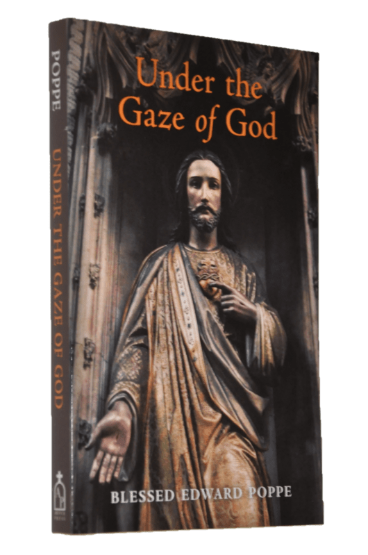 Book Arouca Press Paperback Under the Gaze of God CL/OF
